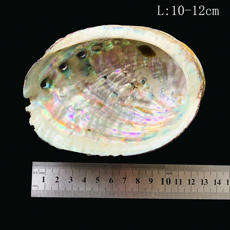 10-12 cm Prírodné Abalone Shell Veľké Morské Mušle Námorných Domova Mydlo Jedlo DIY Ryby Nádrž Akvárium Krajiny Svadobná Výzdoba