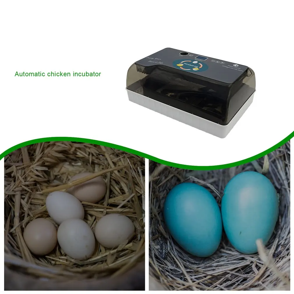 12 Vajec Inkubátor Vtáčie Vajcia Inkubátor Semi-automatické Miniatúrne Vajcia Inkubátor Holub EU/US/UK/AU 4 Plug Domácnosti Inkubátorov
