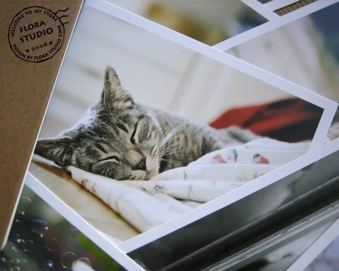 28Pcs/veľa Mačka Série Vintage Mačky Pohľadnice nastaviť Nový Rok Pohľadnice mačky Strany pozvánka