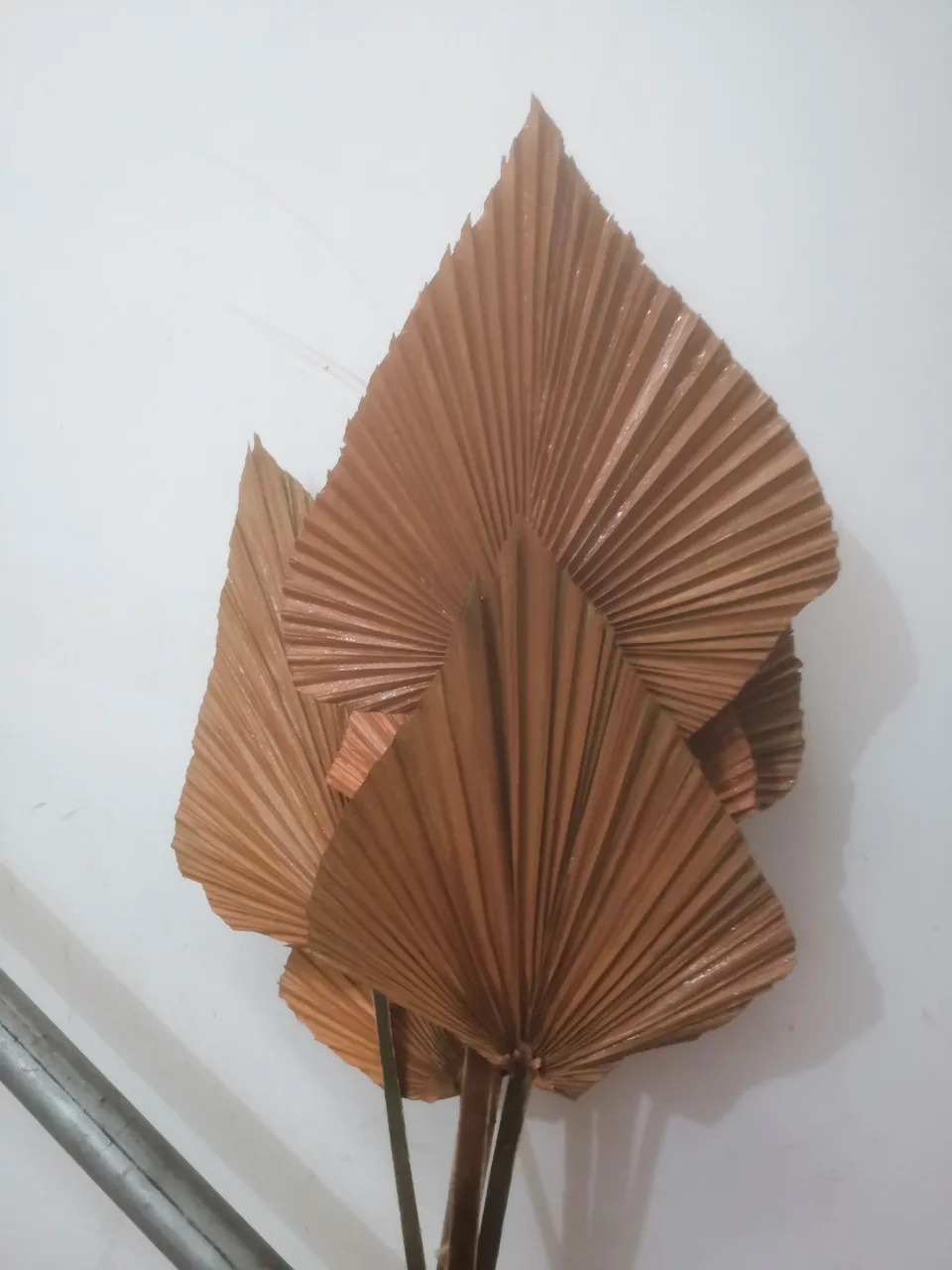 5pc Bronzový cattail leaf sprej maľovanie svadobné kvety foto rekvizity Krásne dekorácie okna Umenie plam ventilátor, sušené plam ventilátor