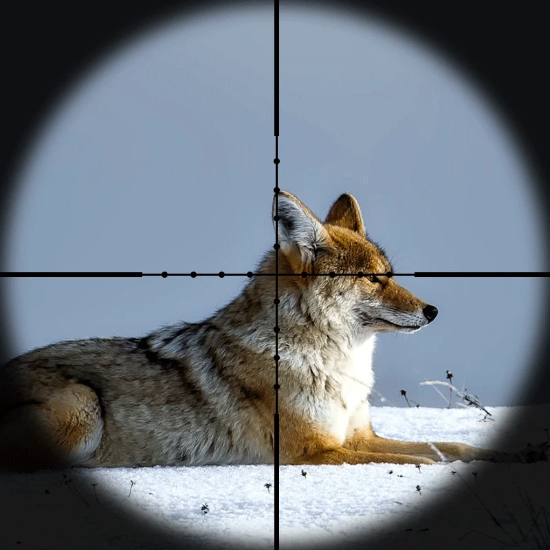 DIANA 8-32X50 Taktické Puška Optika Červená/Zelená Mil Dot Kríž Sniper Scope Kompaktný Riflescopes Lov Pohľad