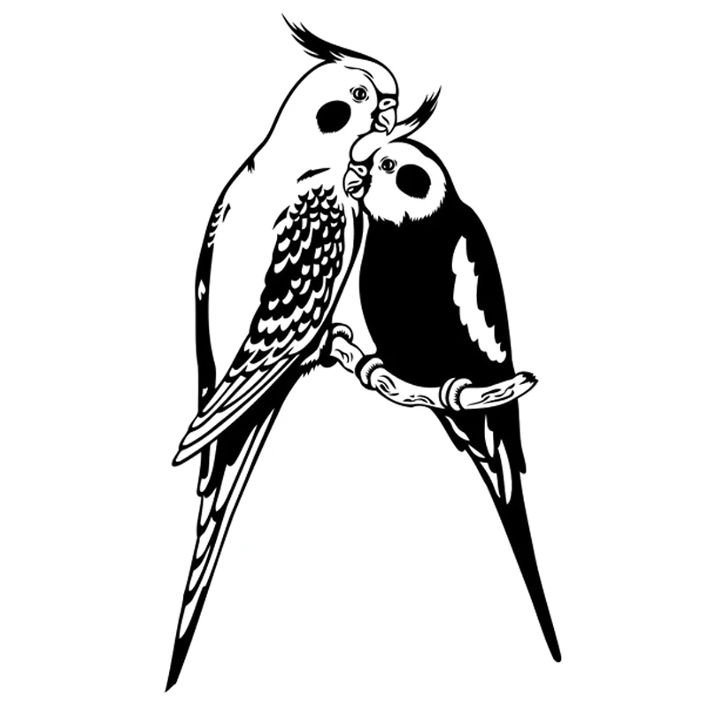 Dve Papagáj Milovníkov Vtákov Zaujímavé Obtlačky Auto Okno Dekorácie Osobnosti Nepremokavé Pvc Nálepky Čierna/biela, 20 cm*12 cm