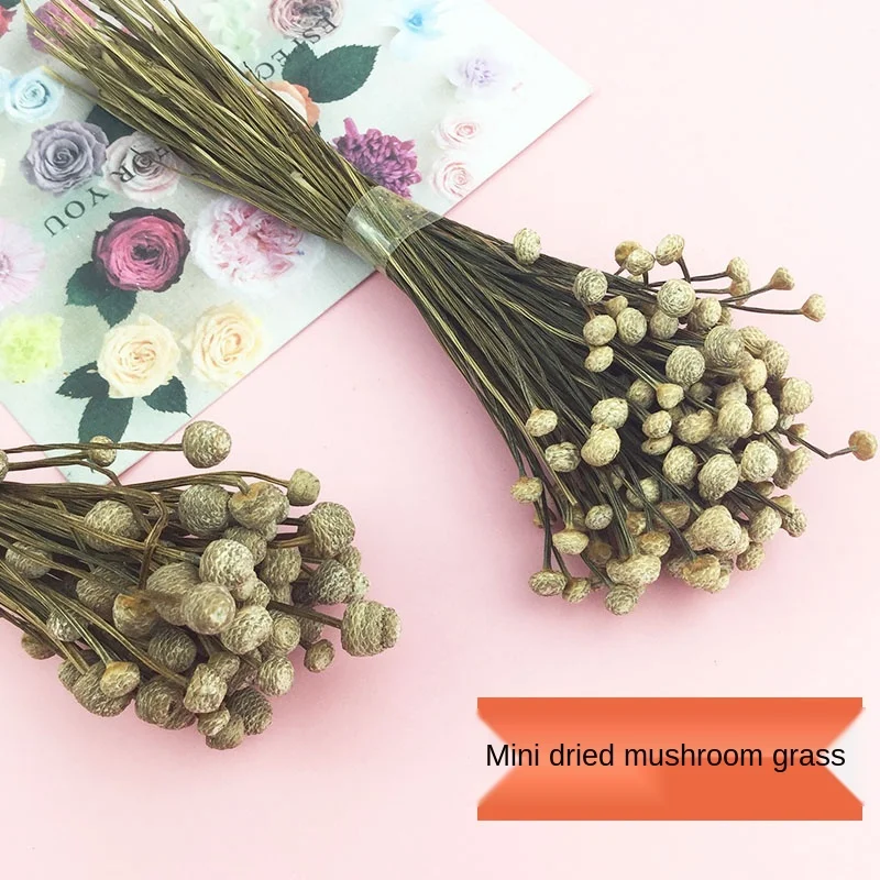 Huby Trávy Mini Sušené kvety Prírodných Rastlinných Večný Kvet Materiál Skutočné Kvetinové Streľba Rekvizity DIY Aromaterapia Vosk Značky