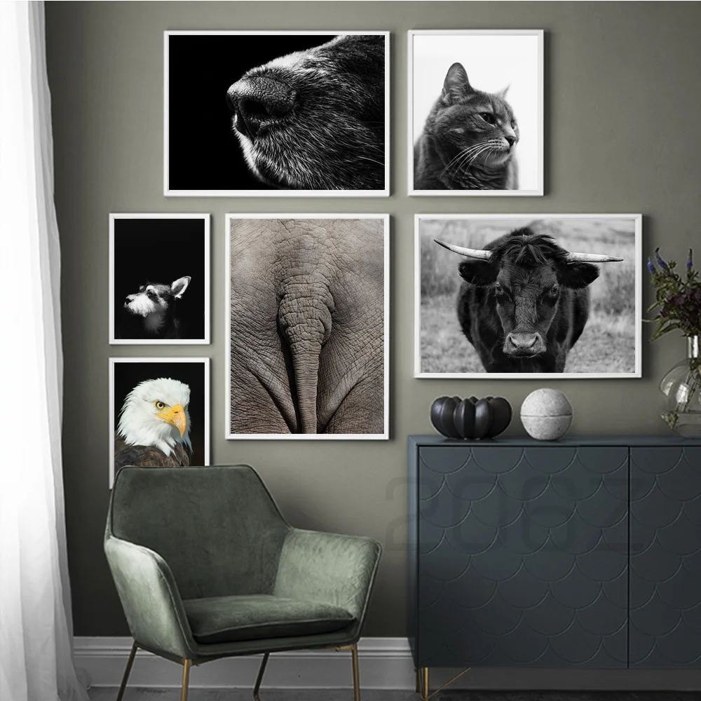 Mačka Kôň Jak Orol Slon Koza Zvieratá Nordic Plagáty a Tlačí na Steny Umelecké Plátno na Maľovanie obrazov na Stenu Pre Obývacia Izba Dekor