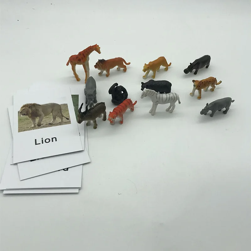 Monson language teaching aids anglický zvierat karty párovanie model párovania učebných pomôcok začiatkom vyučovania hračky gramotnosti