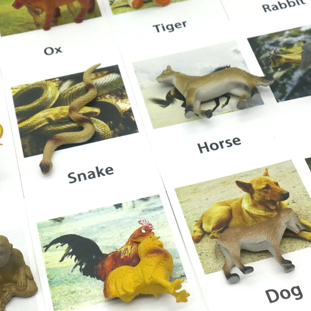 Montessori Materiál Zmyslové Učenie Jazyka 12 Zverokruhu Zvieratá Montessori Vzdelávania v Ranom Detstve Hračiek L1046F