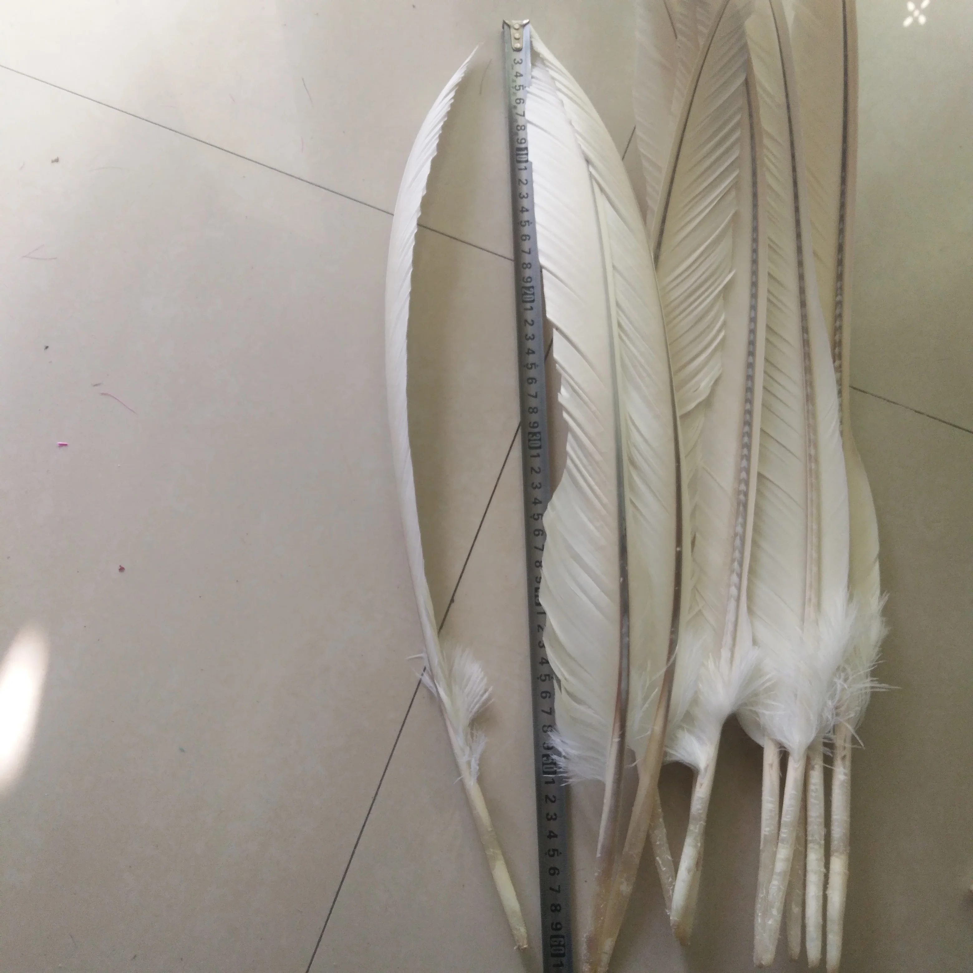 Nové!10 ks kvality white eagle perie, 20-24 cm / 50-60 cm dlhé, DIY šperky, dekorácie