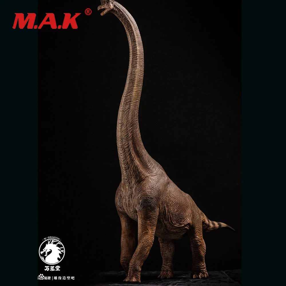 Nové Mierke 1/35 Dlhým krkom Dragon Zvierat Displej Modelu Brachiosaurus Dinosaura Socha zbierok Múzea Dekorácie Fanúšikov Darček