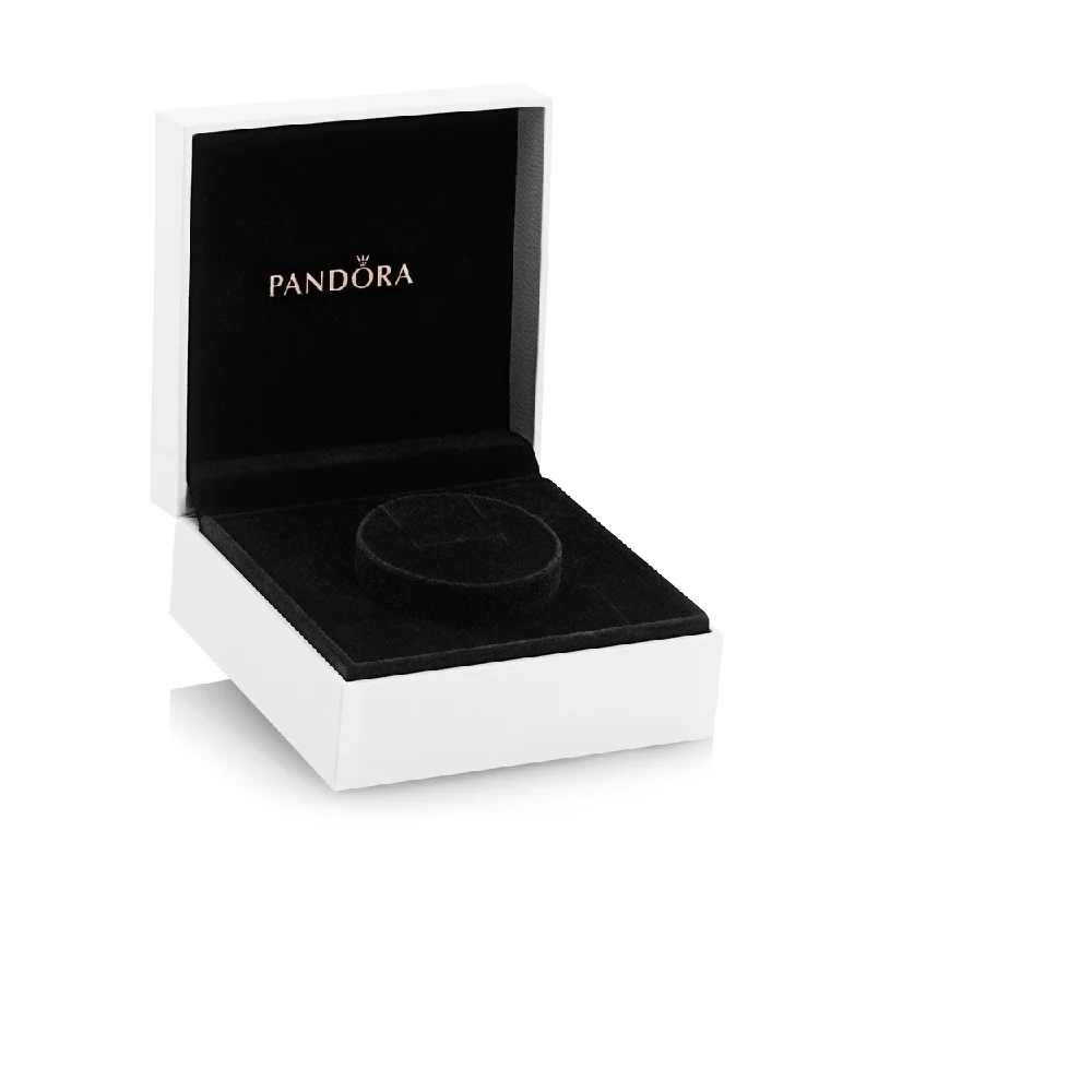 PANDORA darčeka pôvodné PANDORA náramky pre-case model P11003