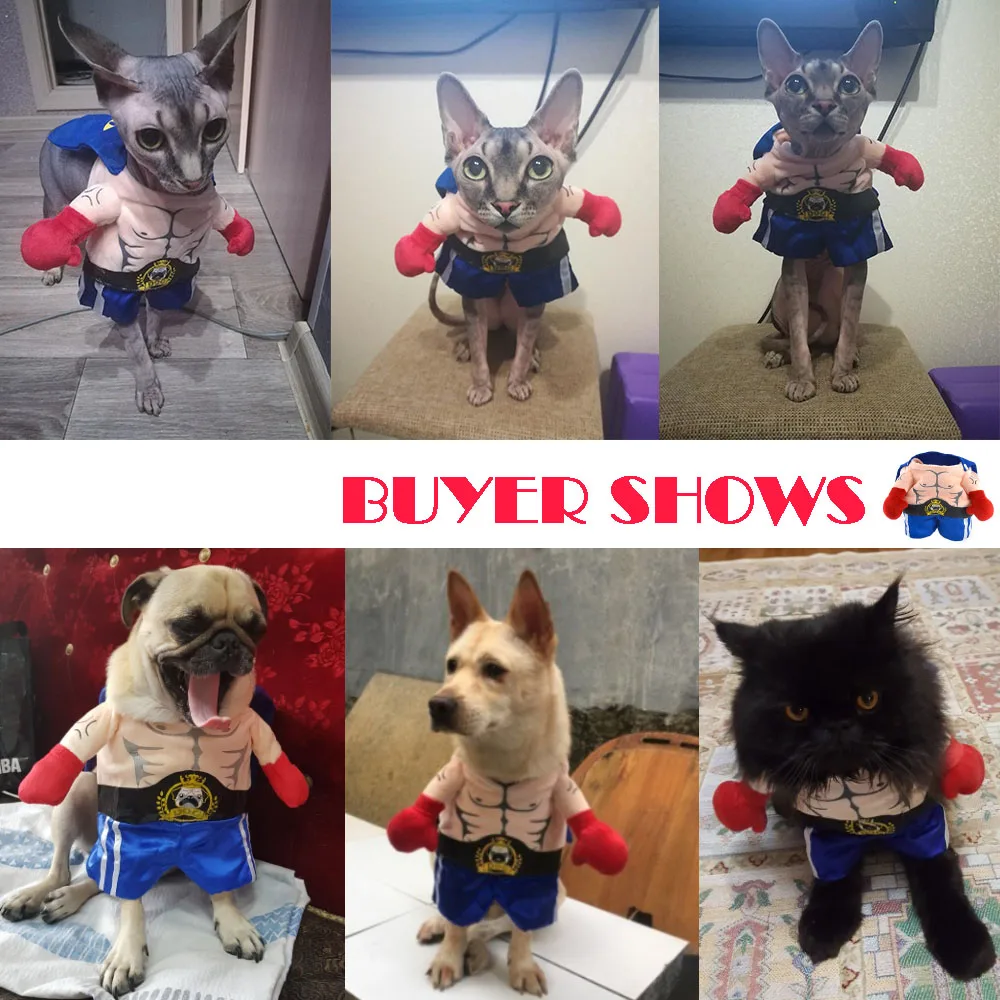 Pet Boxer Kostým Oblečenie pre Psov Pugilism Cosplay Vyhovovali Funny Box Oblečenie Mačka Oblečenie Halloween Oblečenie