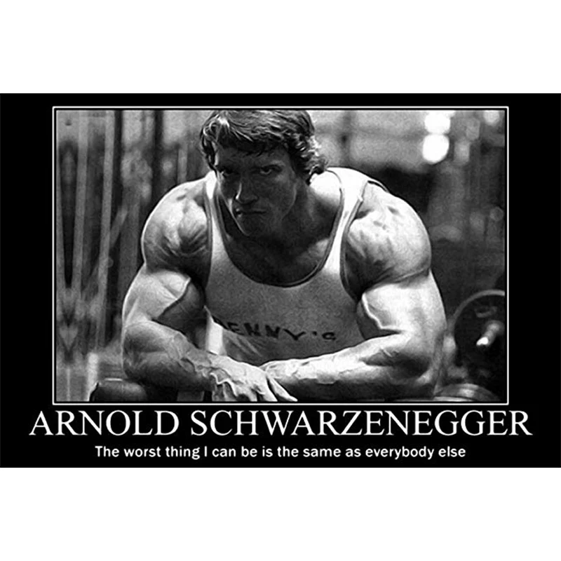 Slávna filmová Hviezda Charakter Arnold Schwarzenegger v Pohode Fitness Svalov Čiernej A Bielej Plagát Obývacia Izba 30x40 Palcový Stene Visí