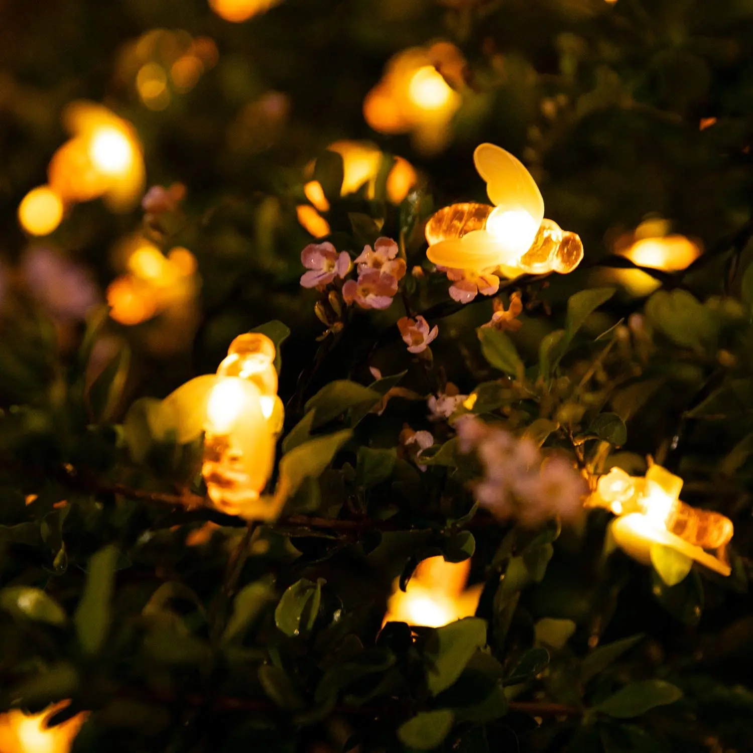 Solárne Bee String Svetlá Vonkajšie včiel medonosných Rozprávkových Svetiel na Terasu Dvore, Záhrade Trávu, Svadobné, Vianočné Party Dekor (Teplá Biela)