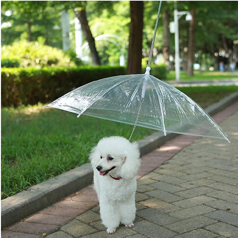 Vysoká Kvalita Pet Dáždnik Transparentné Psa Dáždnik s Vodítku Montáž pre Dážď Sneh Ochranu Psa Dodávky