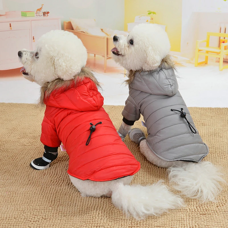 XS-XL Nové Psa Teplá Zimná Bunda Zahusťovanie Čalúnená Oblečenie Pohodlné A Priedušná Hoodies Pug Oblečenie pre Malých Psov, Oblečenie