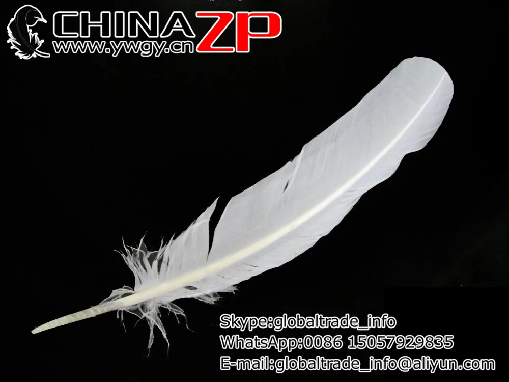 CHINAZP Factory www.ywgy.cn 500pcs/veľa 30~35 cm(12~14inch) Dĺžka Hot Predaj Bielené Biela Turecko Kôl Brko Perie