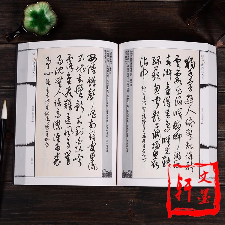 Copybook Čínskej Kaligrafie, Kopírovanie Knihy Pre Mo Bi Zi,Cursive Skript Cao Shu Čínskej Poézie Tang Shu Fa 464Pages