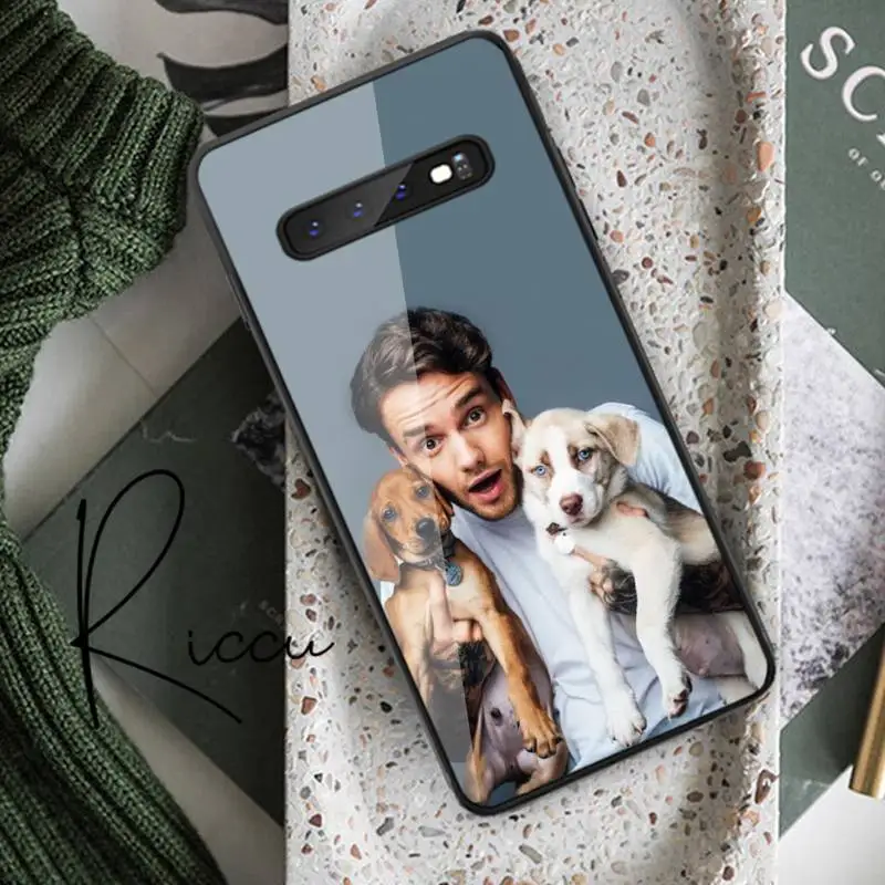 Liam Payne Telefón Prípade Tvrdeného Skla Pre Samsung S20 Plus S7 S8 S9 S10E Plus Poznámka 8 9 10 Plus A7 2018