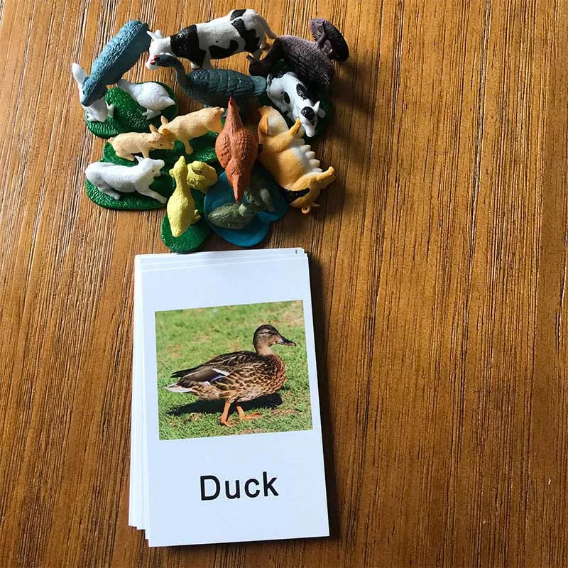 Monson language teaching aids anglický zvierat karty párovanie model párovania učebných pomôcok začiatkom vyučovania hračky gramotnosti