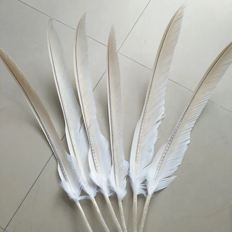 Nové!10 ks kvality white eagle perie, 20-24 cm / 50-60 cm dlhé, DIY šperky, dekorácie
