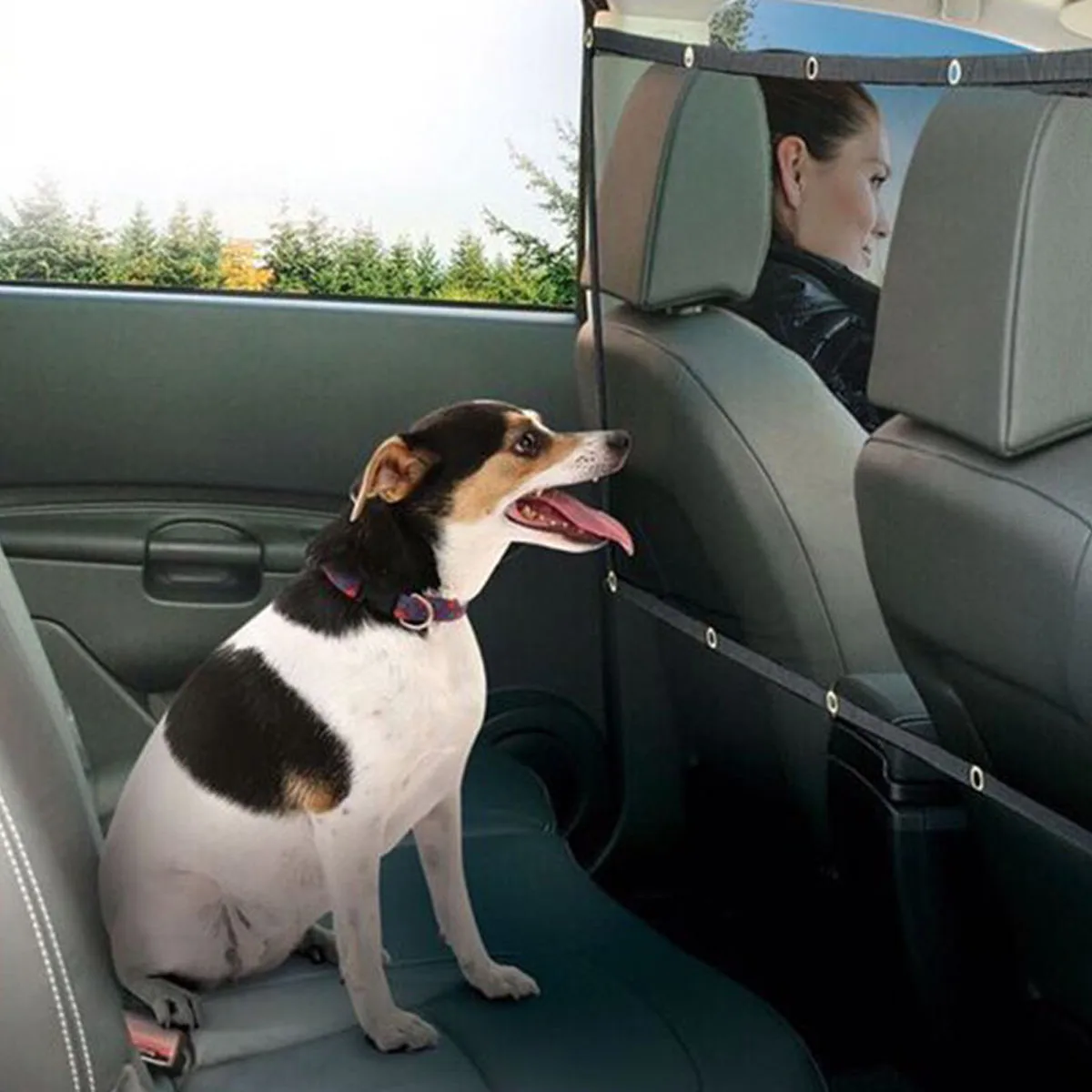 Odolné Univerzálne Psa Čisté Auto Bezpečnosť Pes Prekážku Oka Chránič F-Najlepšie