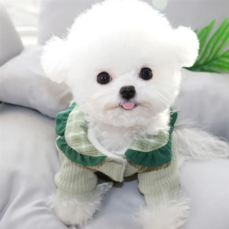 Pet Bišonika Pomeranian Teddy VIP Bradáči Yorkshire malé psie oblečenie, jesenné a zimné oblečenie pre psa štyri-legged kabát