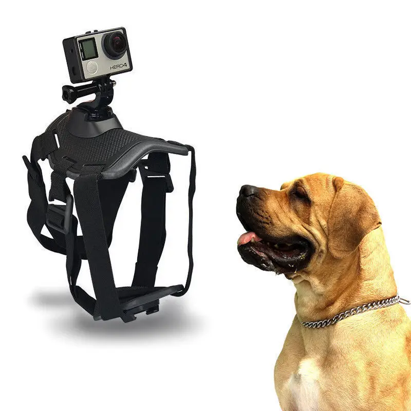 Postroj hrudník psa, podporujú kompatibilnú športové kamery Xiao Go Pro Yi SJCAM