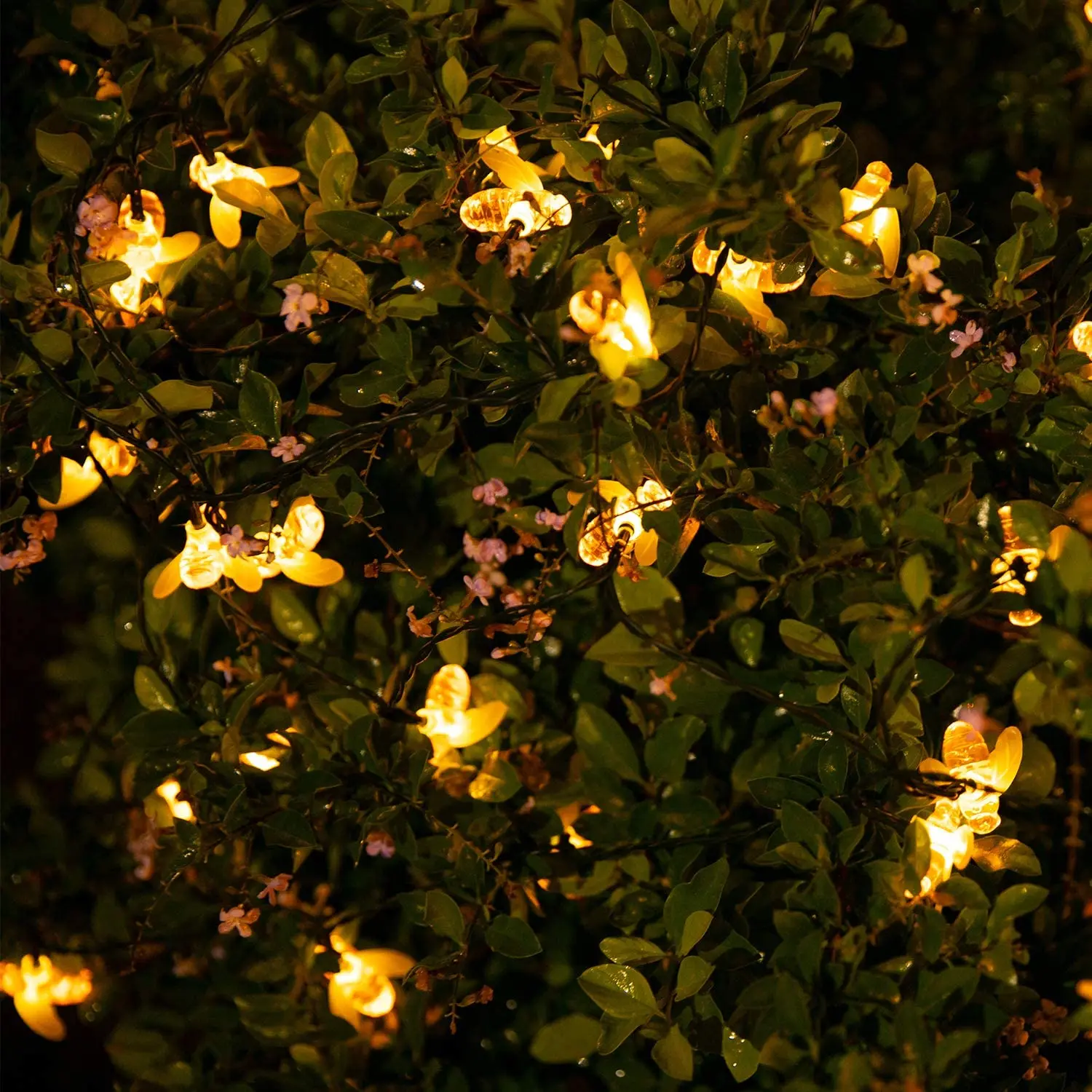 Solárne Bee String Svetlá Vonkajšie včiel medonosných Rozprávkových Svetiel na Terasu Dvore, Záhrade Trávu, Svadobné, Vianočné Party Dekor (Teplá Biela)
