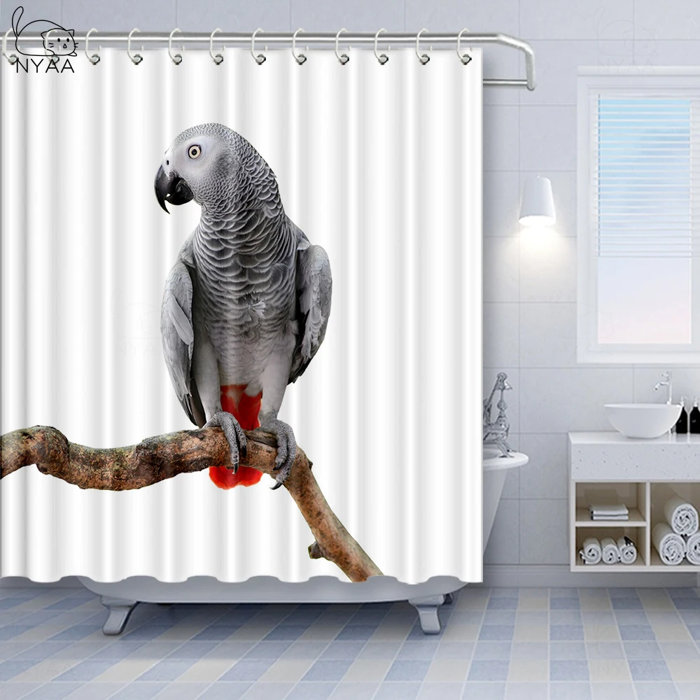 Vixm Sivá frican Papagáj Vták Psittacus Erithacus Stojí na Pobočku Tropická Príroda Voľne žijúcich živočíchov Sprchové Závesy Textílie