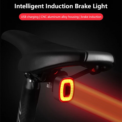 100L Zliatiny Požičovňa Chvost Zadné Svetlo Smart Indukčné IP65 Vodeodolný USB Cyklistické zadné svetlo na Bicykel COB LED Svetlá Bike Príslušenstvo