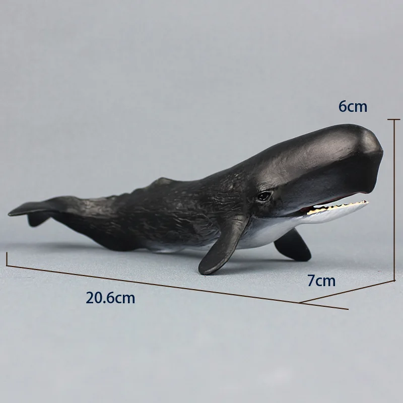 More Života Zvierat Cachalot Modely Údaje Figúrky, Hračky Simulácia Ornament Vianoce v Ranom Detstve Darček pre Deti Spermií Veľryba