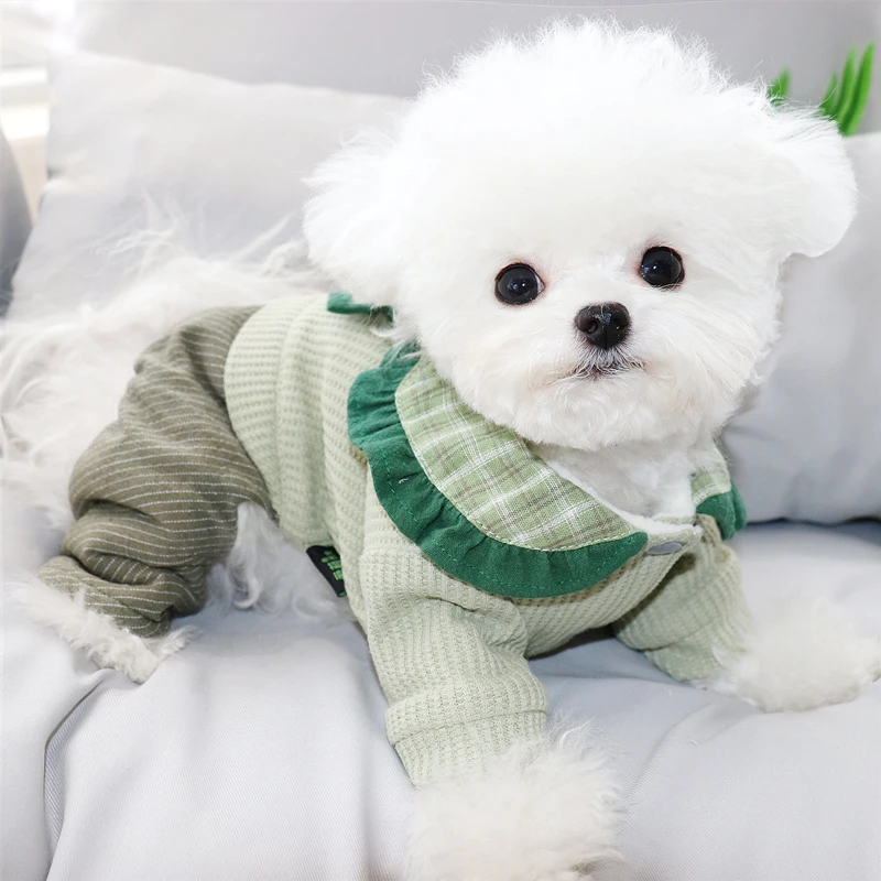 Pet Bišonika Pomeranian Teddy VIP Bradáči Yorkshire malé psie oblečenie, jesenné a zimné oblečenie pre psa štyri-legged kabát