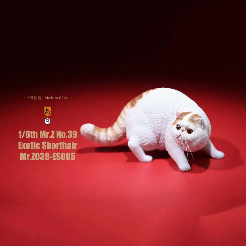 Pán Z Č. 039 Cat 1/6. Rozsahu Živice Exotické Bezsrstá mačka model simulačný model hračka zvierat statický model pre 12 