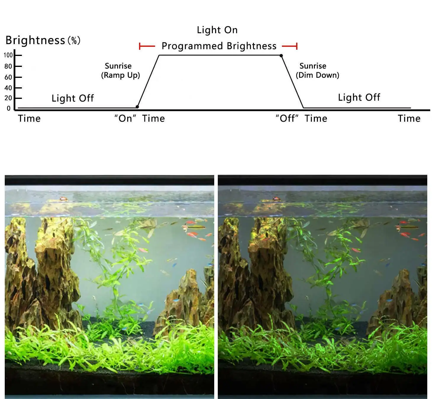 Varmhus LED Akvarijné Svetlo Radič Stmievač Modulátor akvárium Načasovanie Kontrolu Inteligentné Osvetlenie