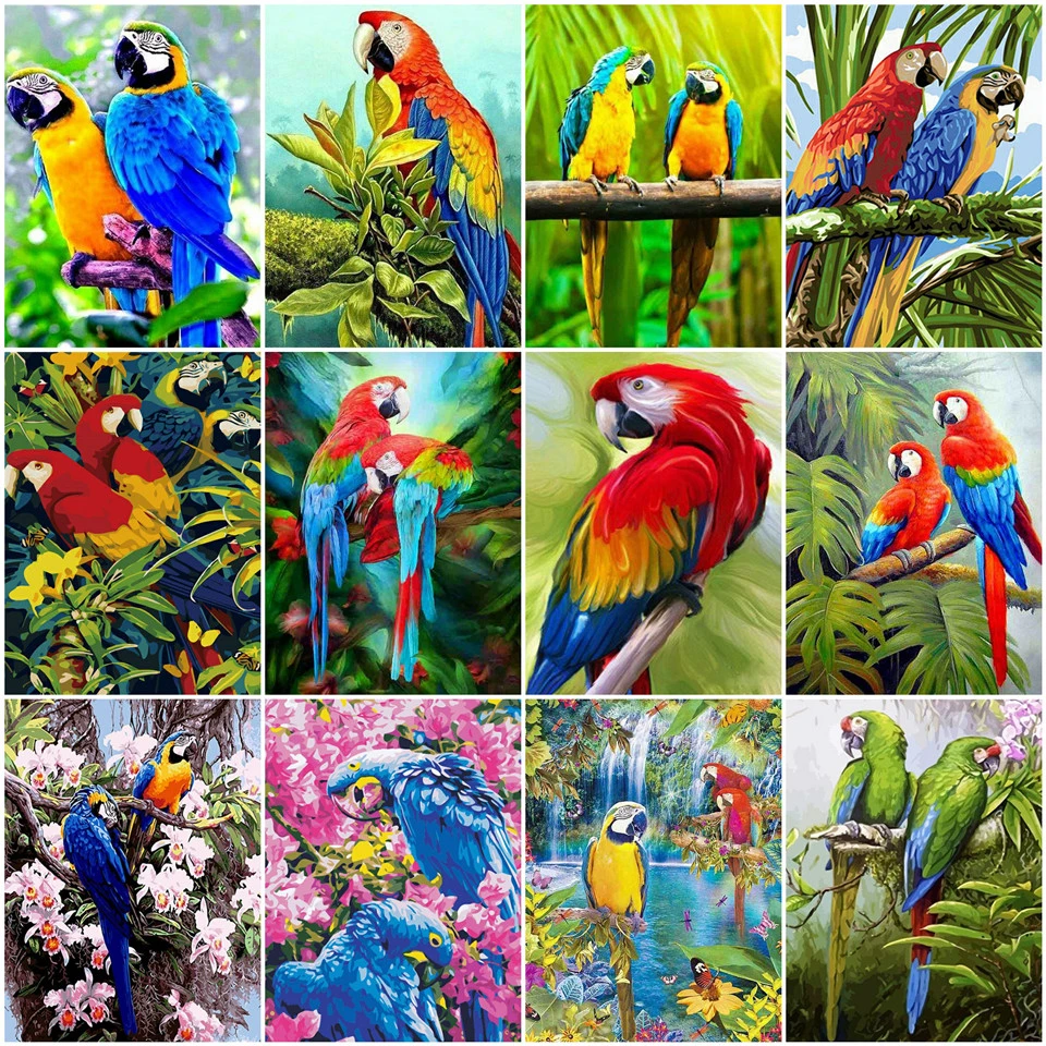 AZQSD Dospelých Olej Maľovanie Podľa Čísel Papagáj DIY Unframe Farebnosť Podľa Čísel Zvierat Obrázok Pre Obývacia Izba Domáce Dekorácie
