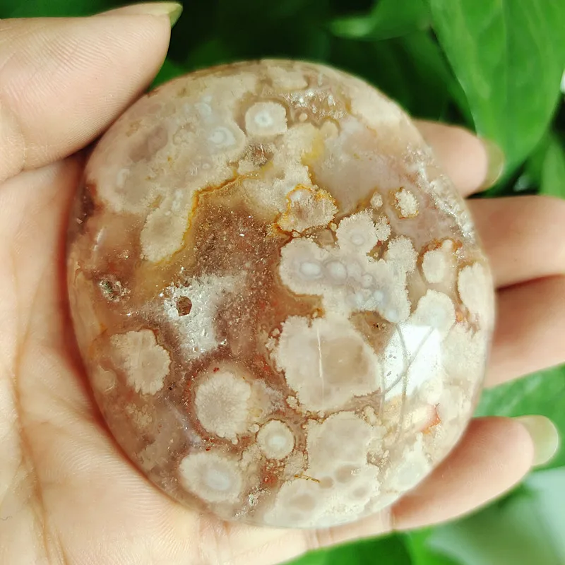 Prírodný kameň čerešňový kvet agateSardonyx achát palm kamene playthings malé kamene a kryštály liečivé kryštály