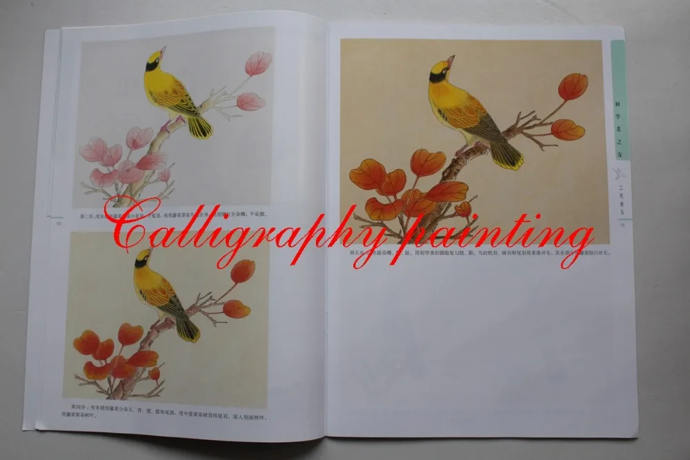 1pc Čínske Maľby začiatočník gongbi vtákov kvet technika Tetovanie Referenčné Knihy