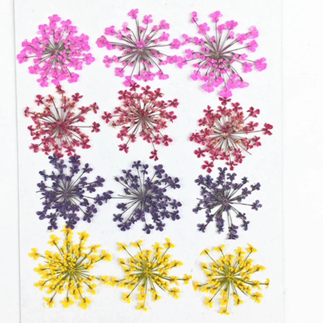 Dekorácie mariage zmiešané čipky sušené kvety Umenie vzorky zadarmo zásielky veľkoobchod 1 lot/10bags(120pcs kvety)