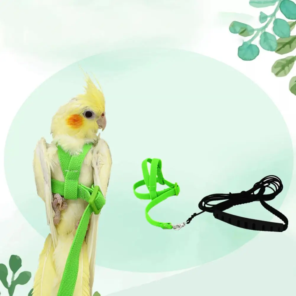 Pet Vták Nastaviteľné Popruhy Papagáj Vodítku Vedenia Odbornej Prípravy Lano Lietania Kapela Vták Lano Vonkajšie Tréning Lano Pás Chôdza Viesť