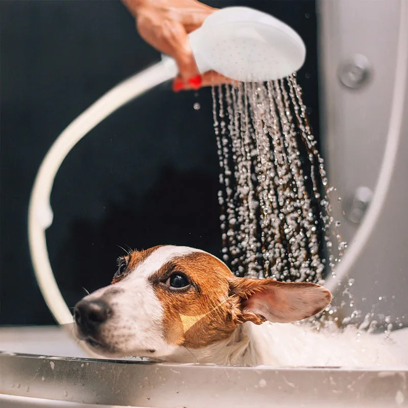Psa Sprcha Head šampón pre mačky Multifunkčné Ťuknite na položku sprchové Toaletné Rozprašovače Kanalizácie Nečistôt Vody profesionálny Nástroj kúpele