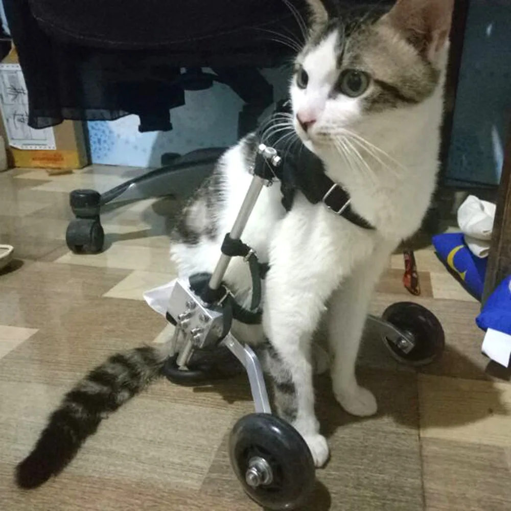S/M/L, Nastaviteľné Pes, invalidný Vozík pre Malé Psie domáce Zvieratá Za nohy Rehabilitácia