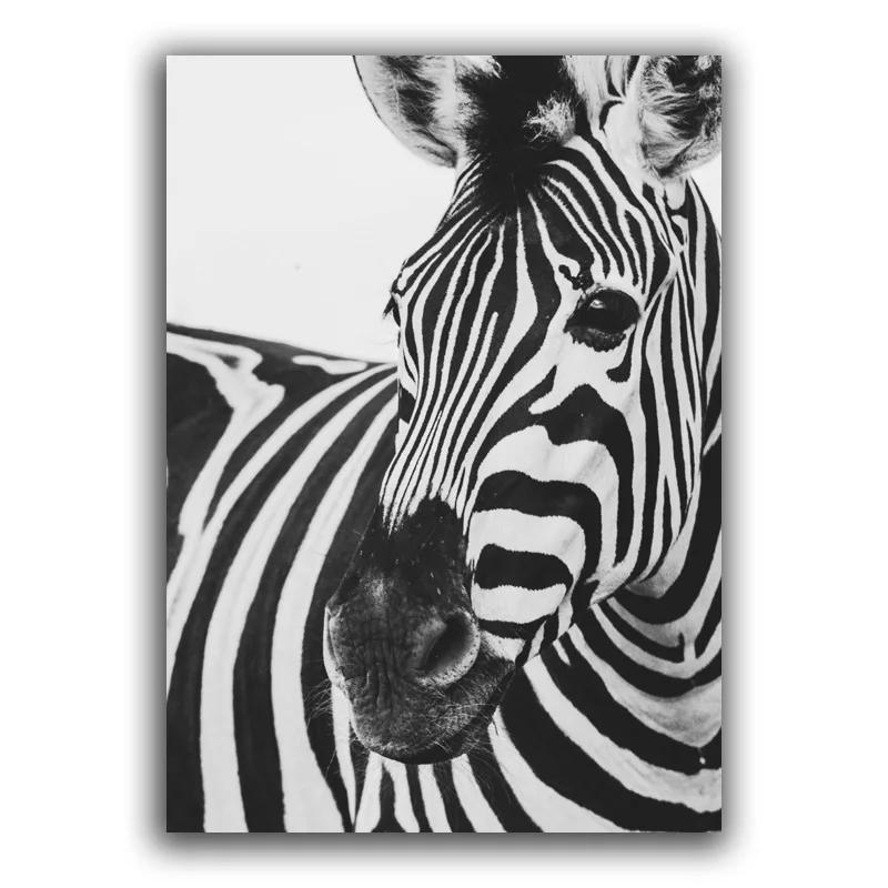 Škandinávsky Čierna Biela Plagát Nordic Plátno Na Stenu Umelecké Reprodukcie Zvierat Zebra Maľovanie Dekoratívny Obraz Neon Citácie Domova