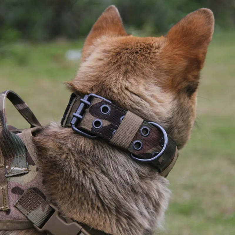Šírka Odolné Taktické Nylon Obojok Vonkajšie Nastaviteľné Tréningové Golier Pet Vojenské Golier Psa Polícia Pet Products DF01
