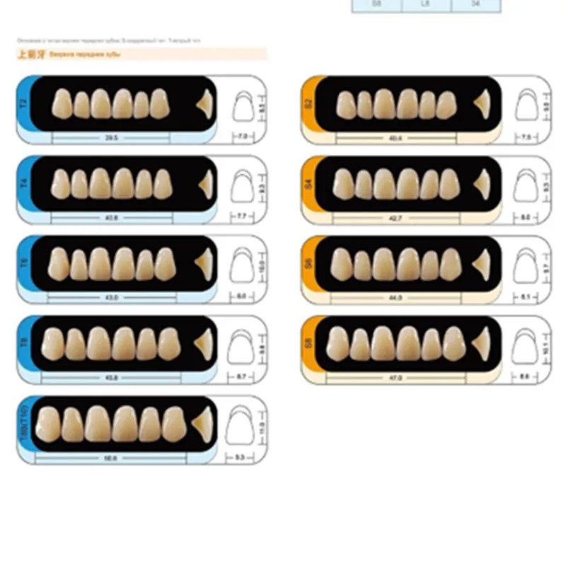 4 sady /box Zubné Syntetických Polymérov Zuby Živice zubných náhrad Zubnými Zuby Model