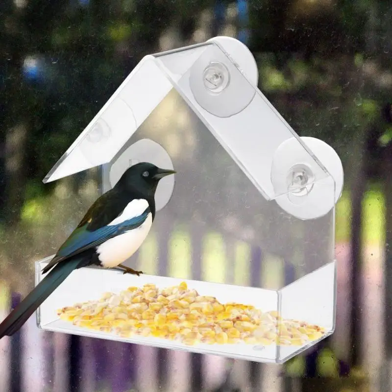 Akryl Jasné Dom Okno Vtáčie Krmítko Birdhouse S Nasávacím Vonkajšie