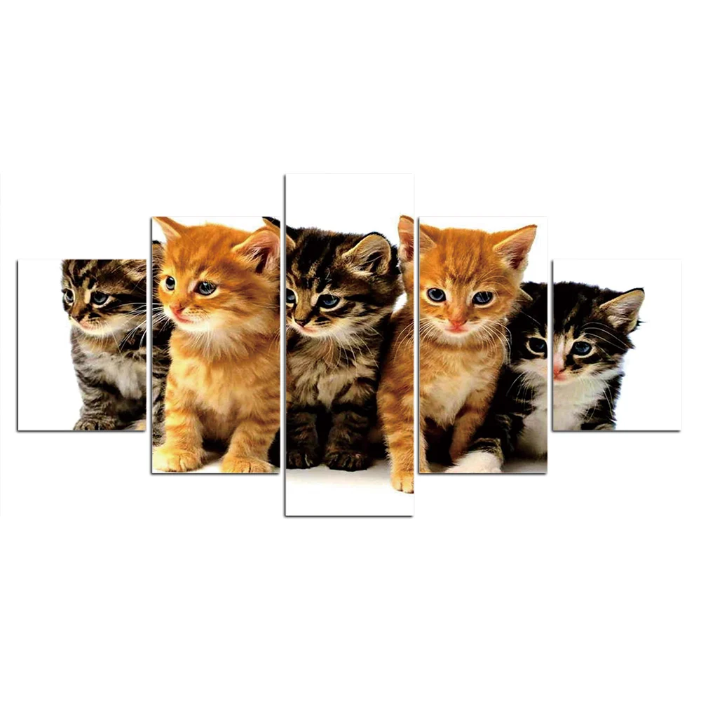 Modulárny Obrázky Domáce Dekorácie na Stenu Umelecké Plátno Cute cat Plagát Dekor 5 Kus Maľovanie HD Tlačené Fotografie