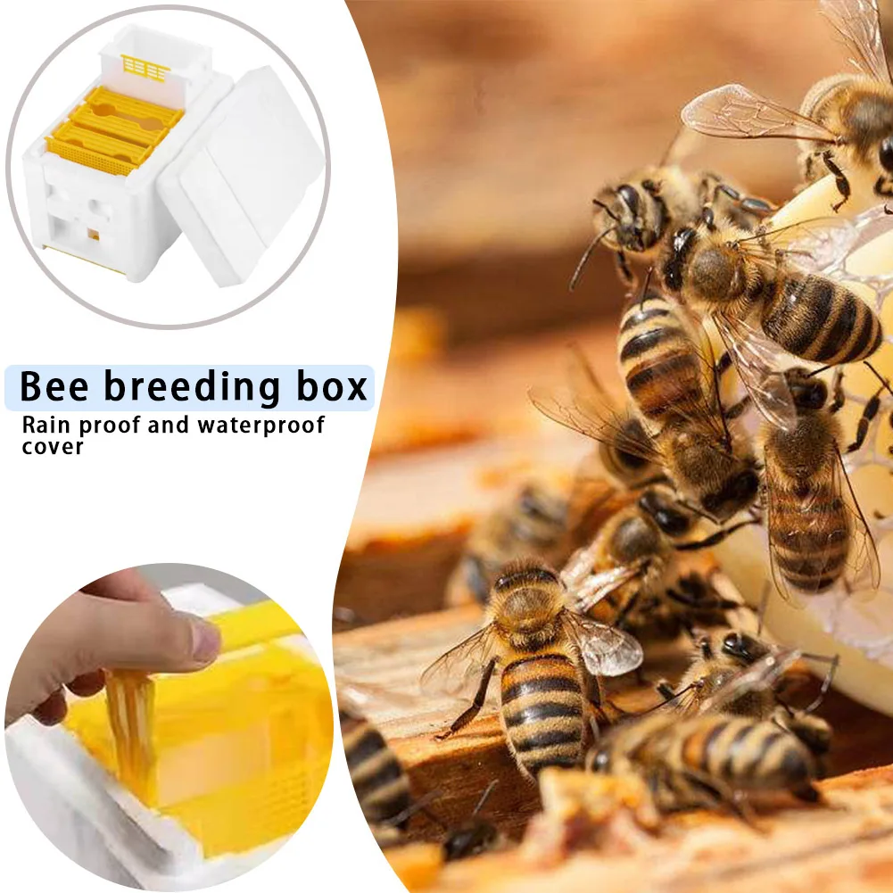 Multi-Funkčné Úli Včelárskych Kráľ Box Pena Silné A Odolné Domov Včelí Úľ Opeľovanie Boxy Včelár Párenie Dodávky Teplej