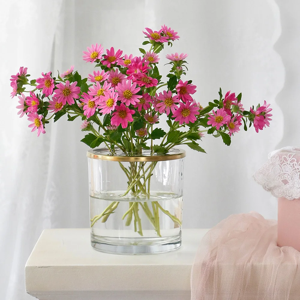 Nordic výzdoba domov Transparentné Hydroponické Sušené kvety, vázy okuliare rastlín Vázy dekoratér kalíšok obývacia izba Terária