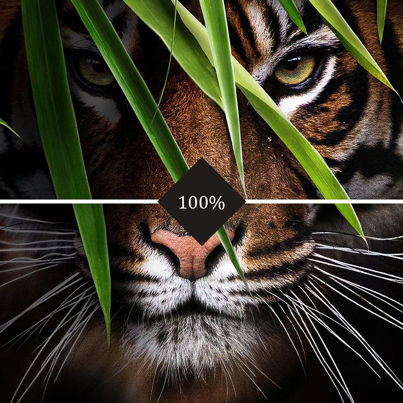 Vlastné 3D Fotografie Tapety Tiger Plagát Nástenné Maľby Obývacej Izby, Spálne Vstup na Pozadí Wall Art Zvierat nástenná maľba na Stenu Krytiny